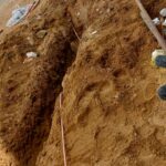 WhatsApp Image 2024-08-06 at 1.03.50 PM